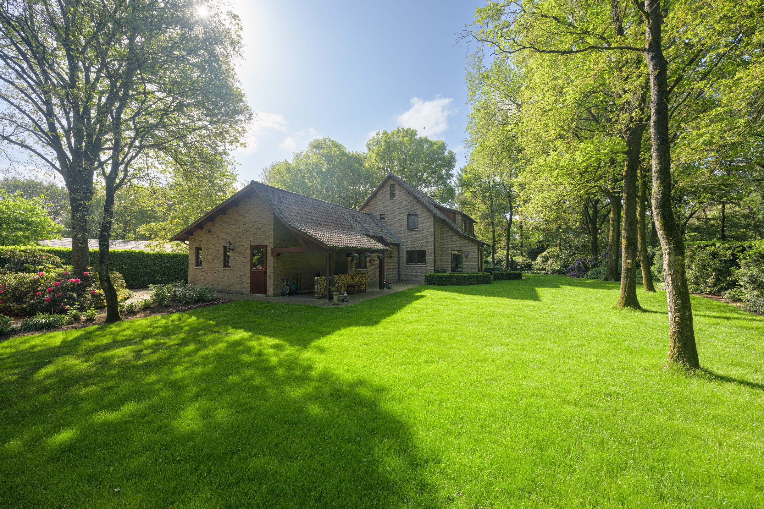 7874494